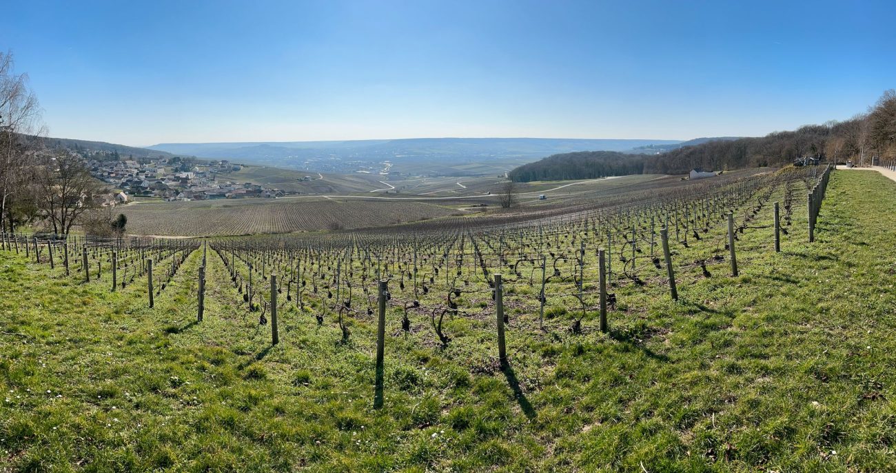 31b84bdb-86d5-448f-8b38-32c77bf15e10