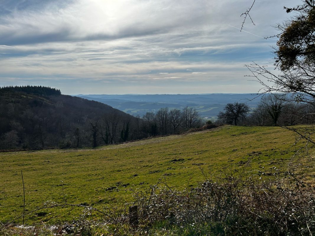 WhatsApp Image 2025-03-08 at 19.45.51