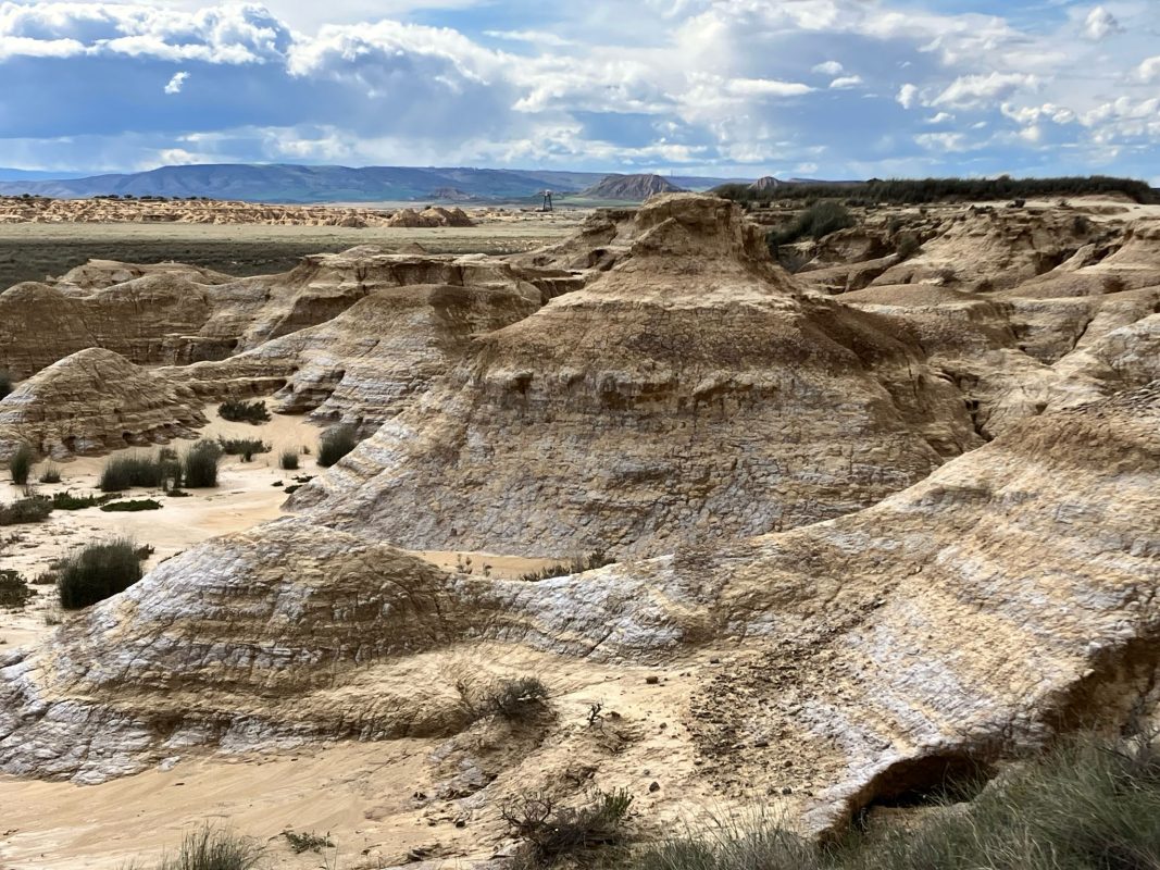 WhatsApp Image 2025-03-10 at 22.36.24 (1)