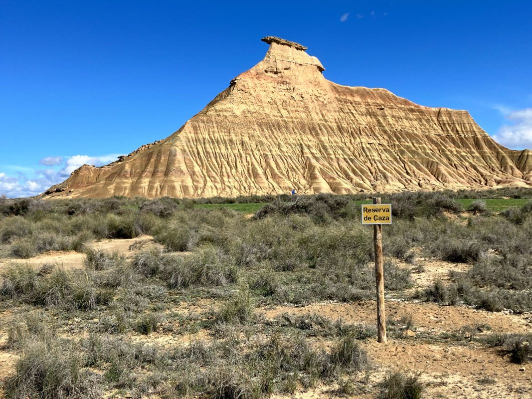 WhatsApp Image 2025-03-10 at 22.36.26