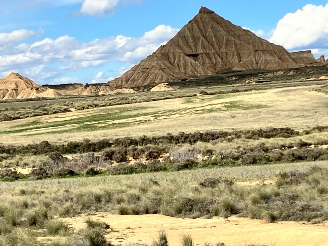 WhatsApp Image 2025-03-10 at 22.36.27 (1)