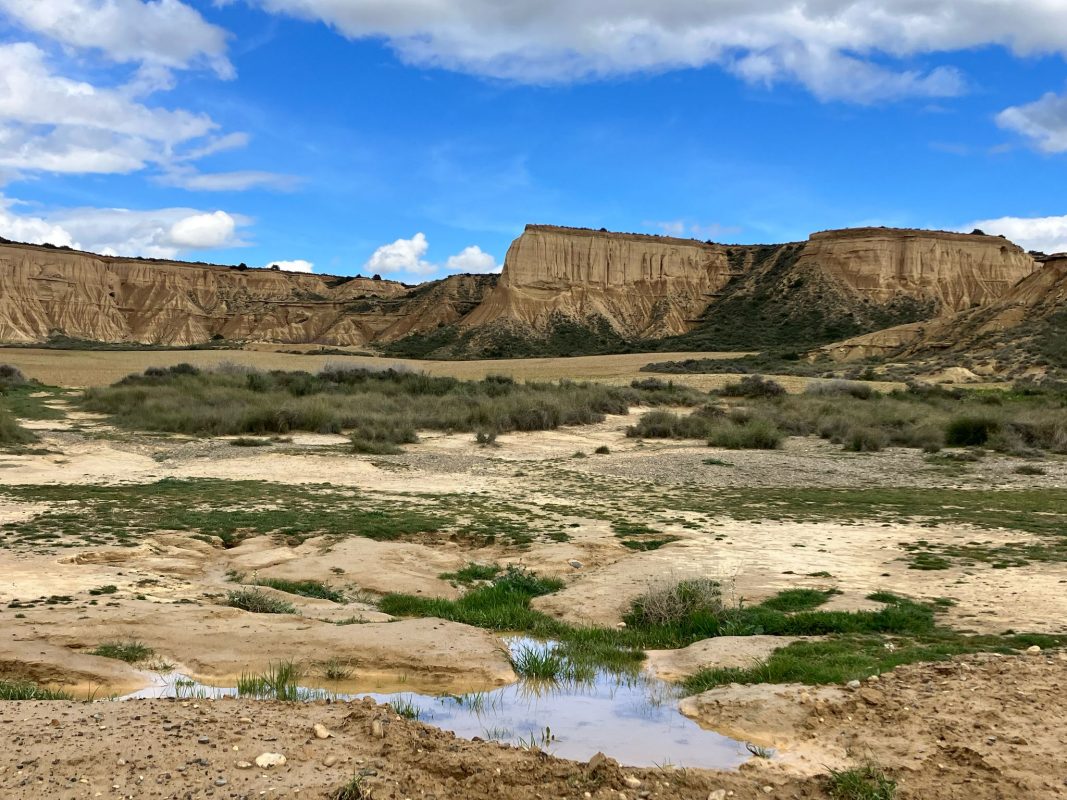 WhatsApp Image 2025-03-10 at 22.36.29