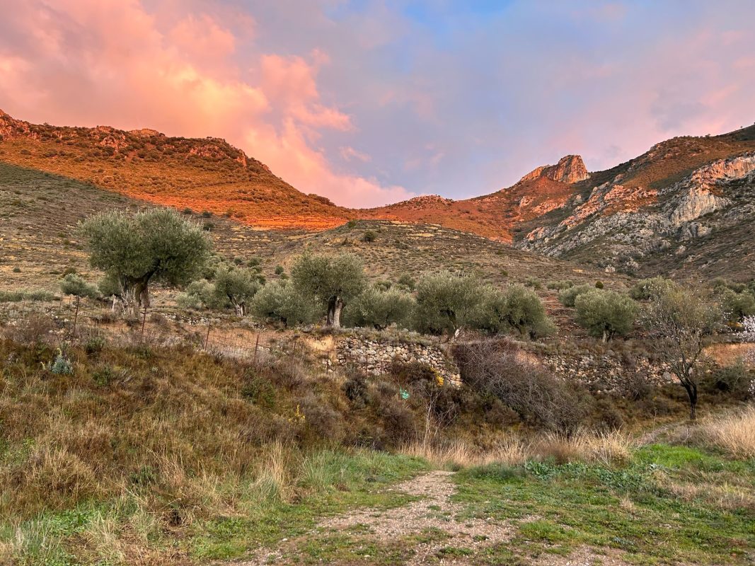 WhatsApp Image 2025-03-12 at 21.38.25