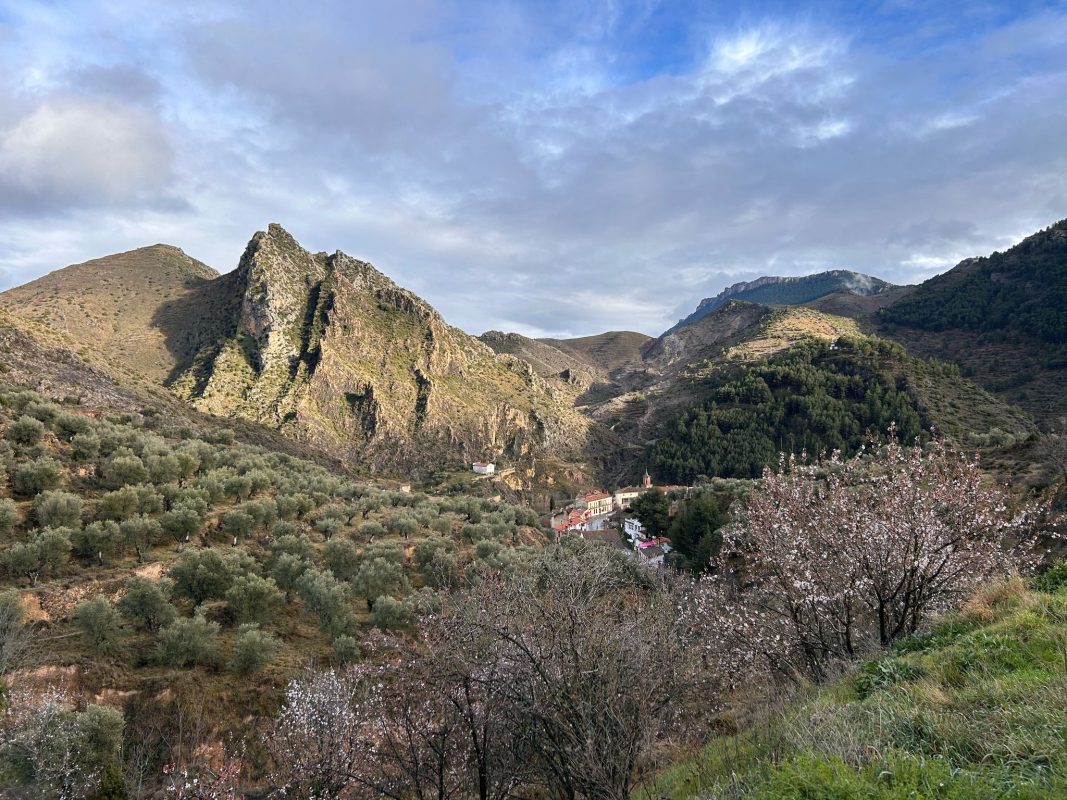 WhatsApp Image 2025-03-12 at 21.38.28