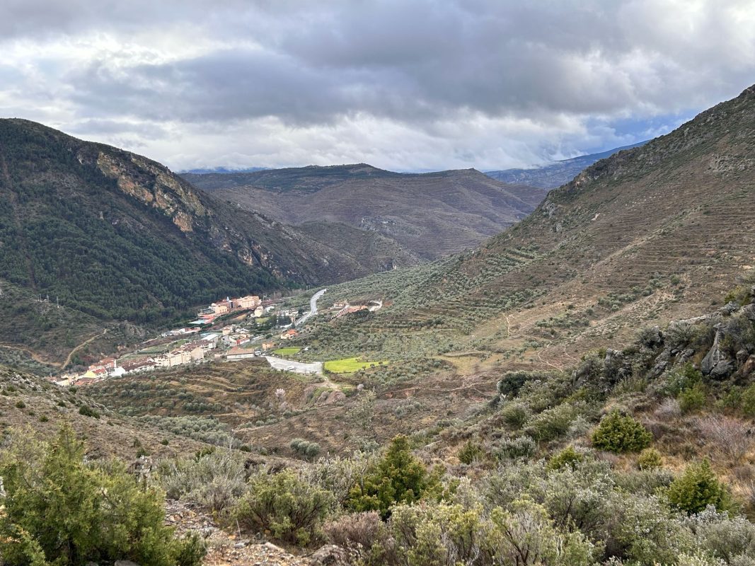 WhatsApp Image 2025-03-12 at 21.38.31