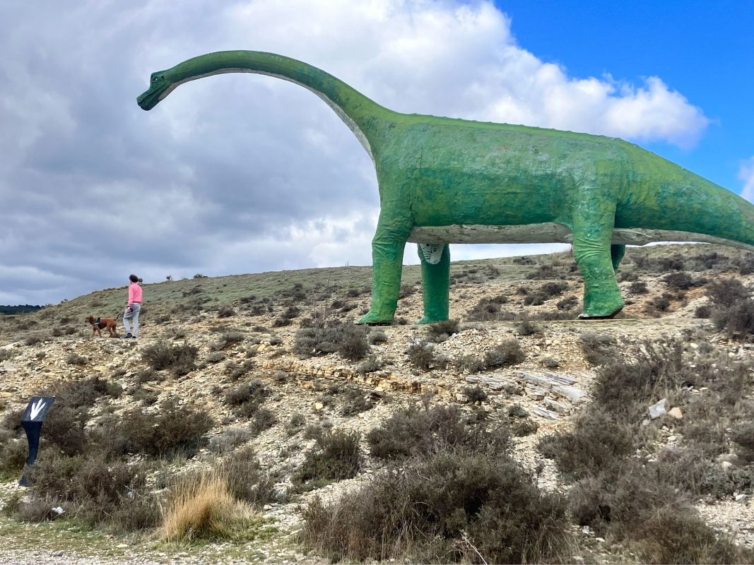 WhatsApp Image 2025-03-12 at 21.38.41