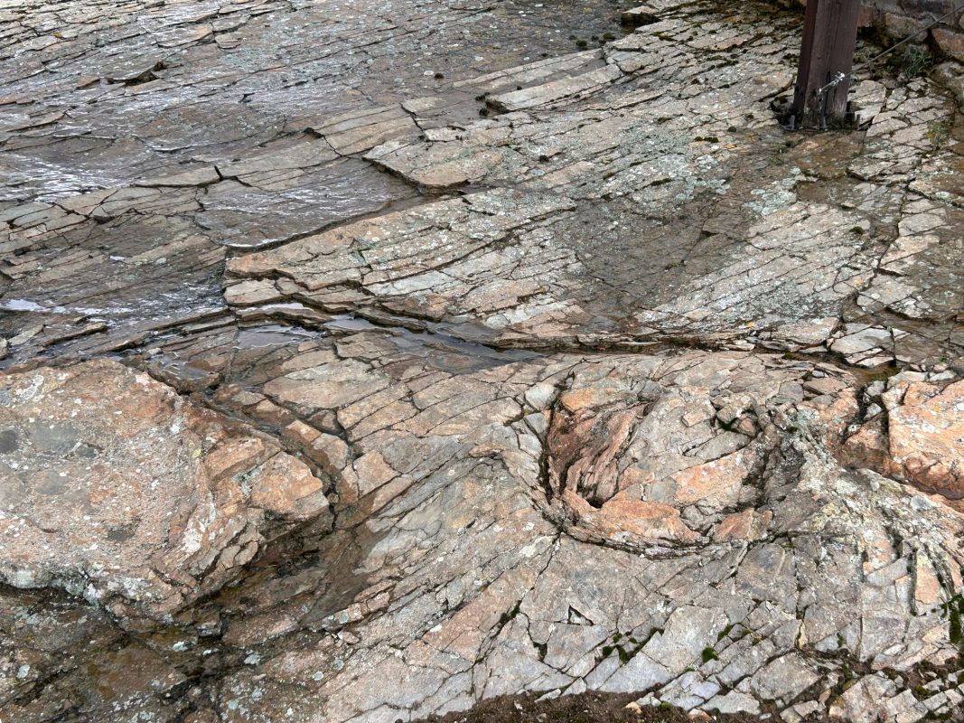 WhatsApp Image 2025-03-12 at 21.38.42