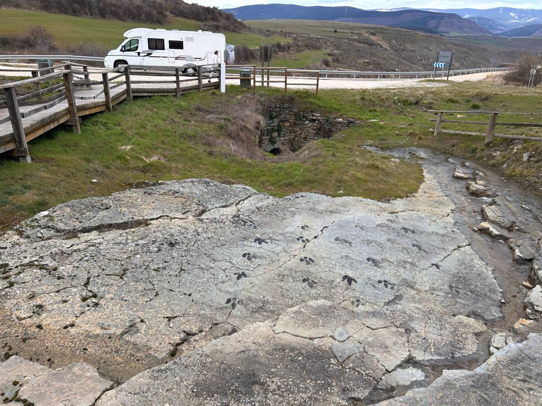 WhatsApp Image 2025-03-12 at 21.38.43