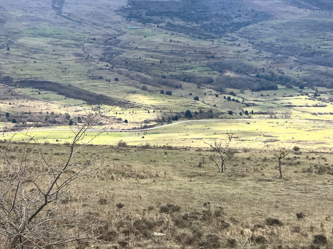 WhatsApp Image 2025-03-12 at 21.38.45 (1)