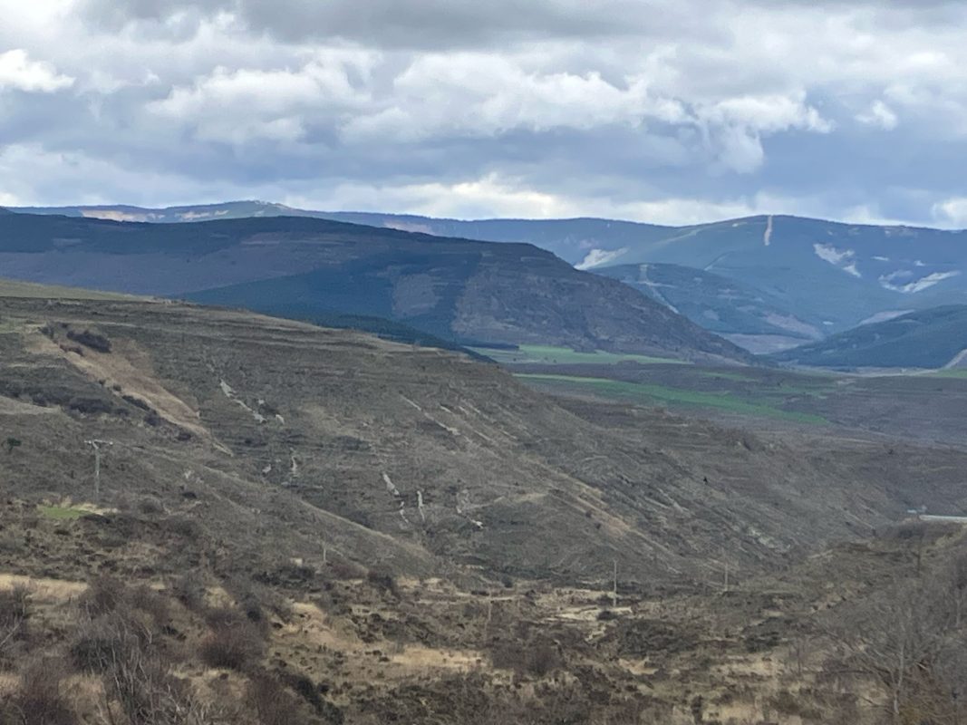 WhatsApp Image 2025-03-12 at 21.38.45