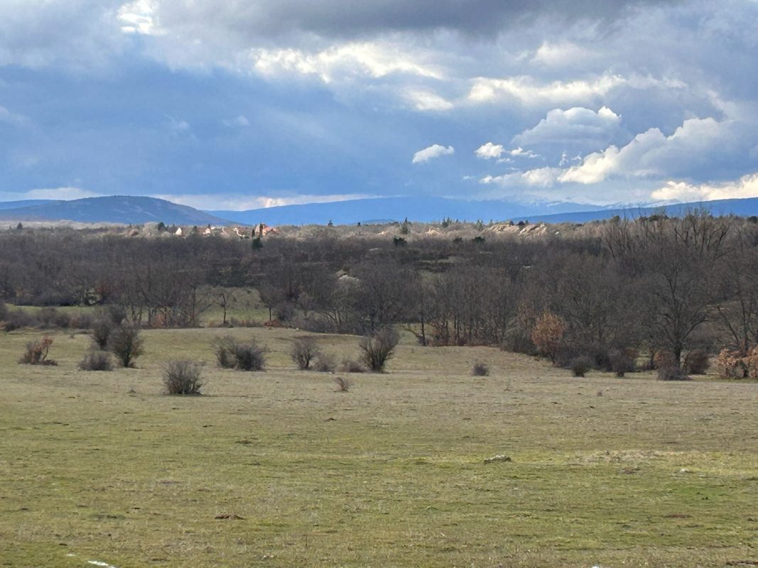 WhatsApp Image 2025-03-12 at 21.39.41