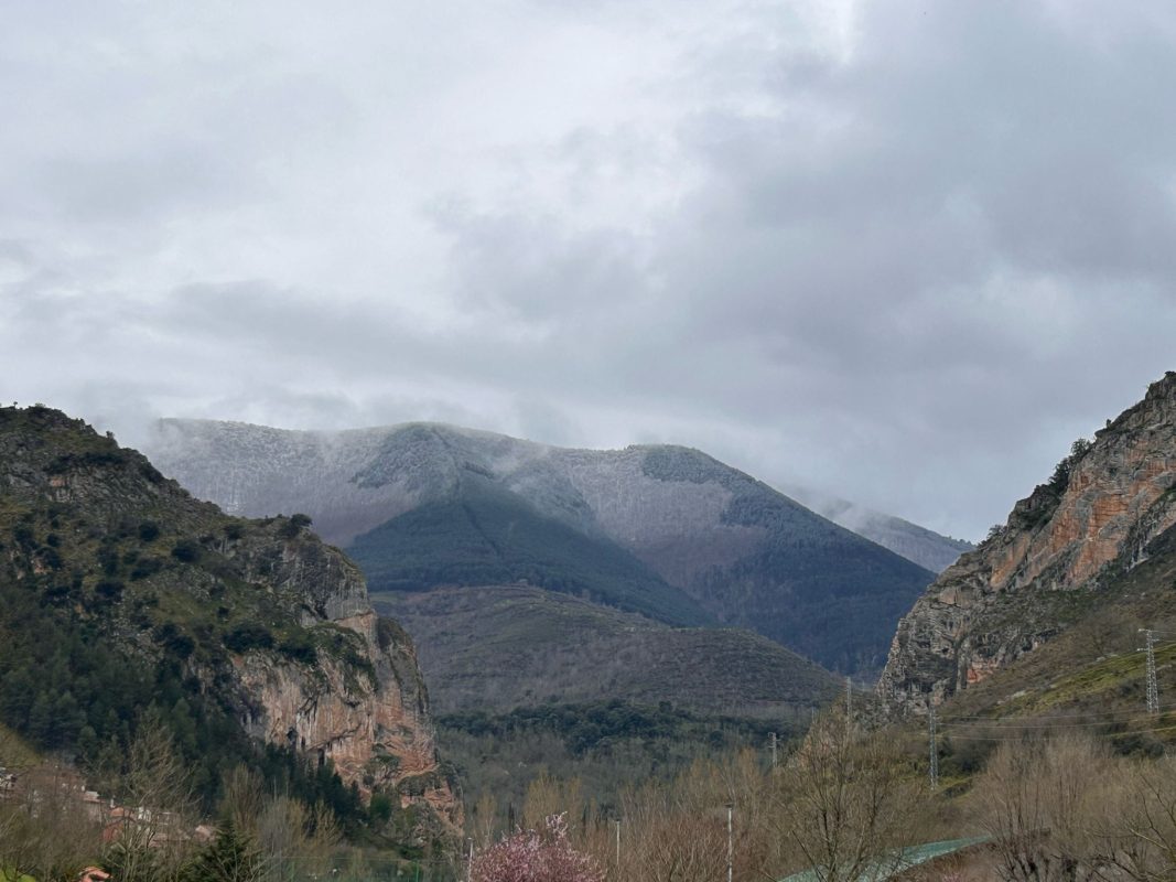 WhatsApp Image 2025-03-13 at 21.15.56 (1)