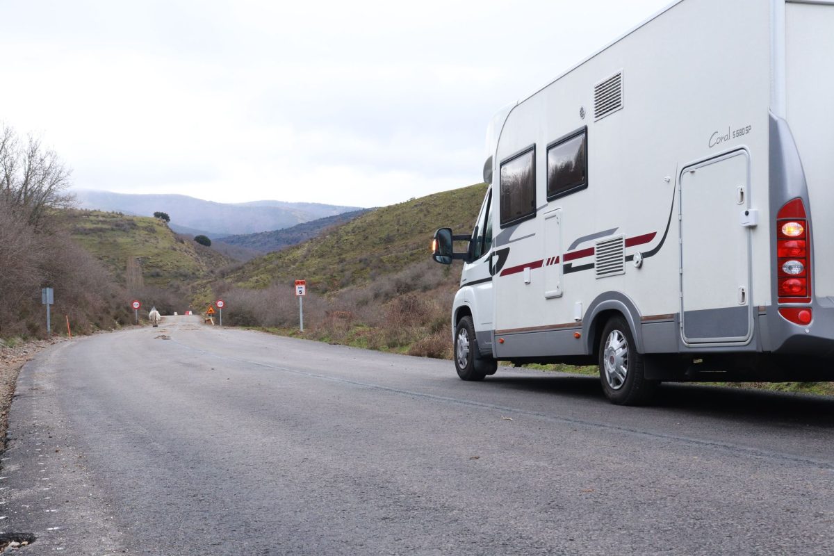 WhatsApp Image 2025-03-13 at 21.15.57