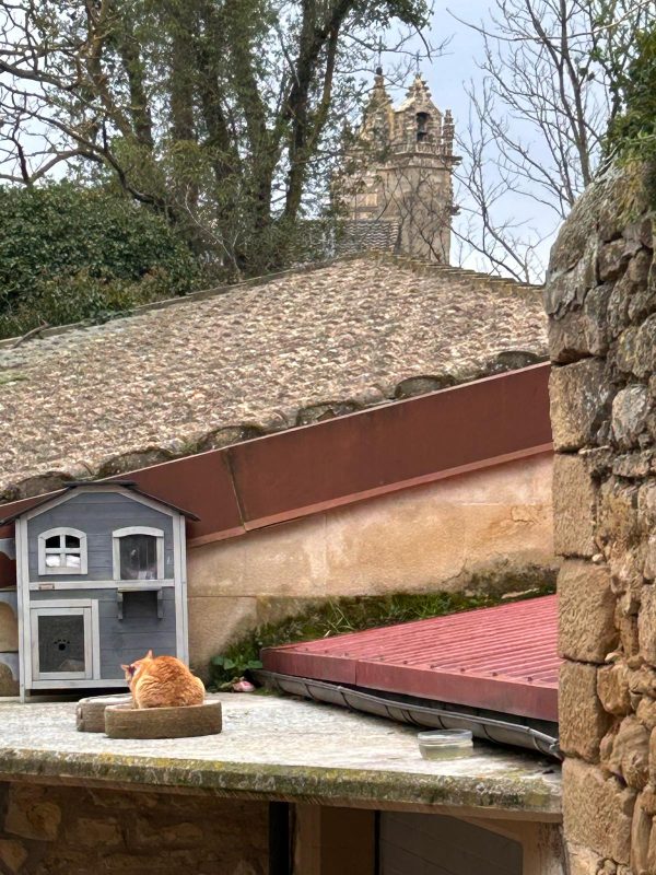 WhatsApp Image 2025-03-14 at 22.09.02