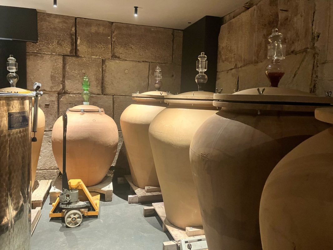 WhatsApp Image 2025-03-16 at 21.42.31