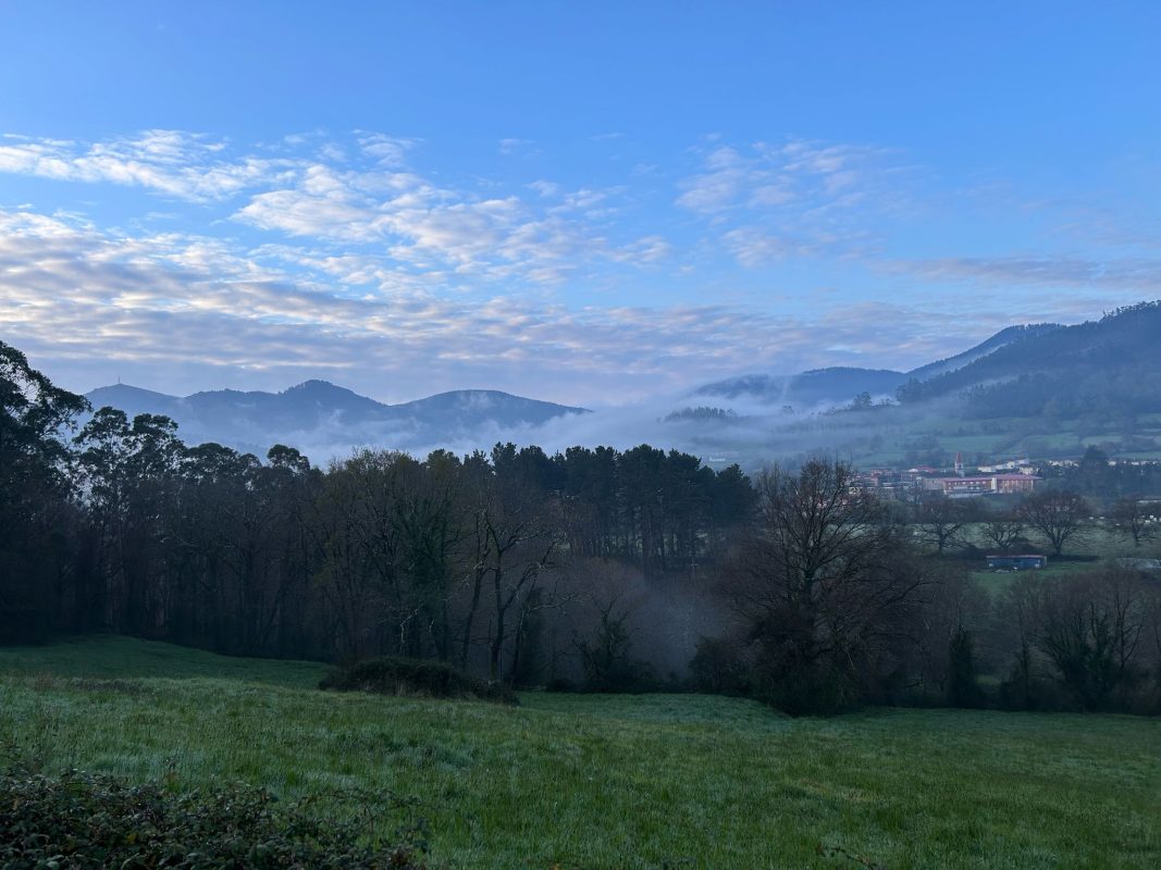 WhatsApp Image 2025-03-17 at 21.30.15