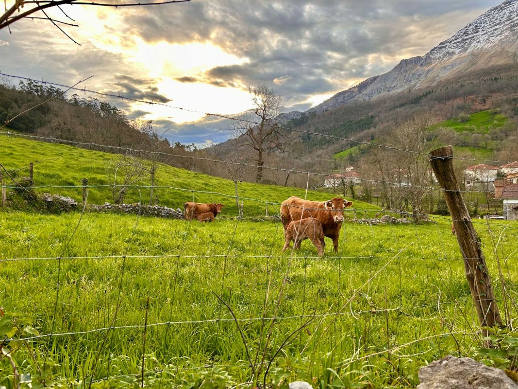 WhatsApp Image 2025-03-19 at 21.39.11