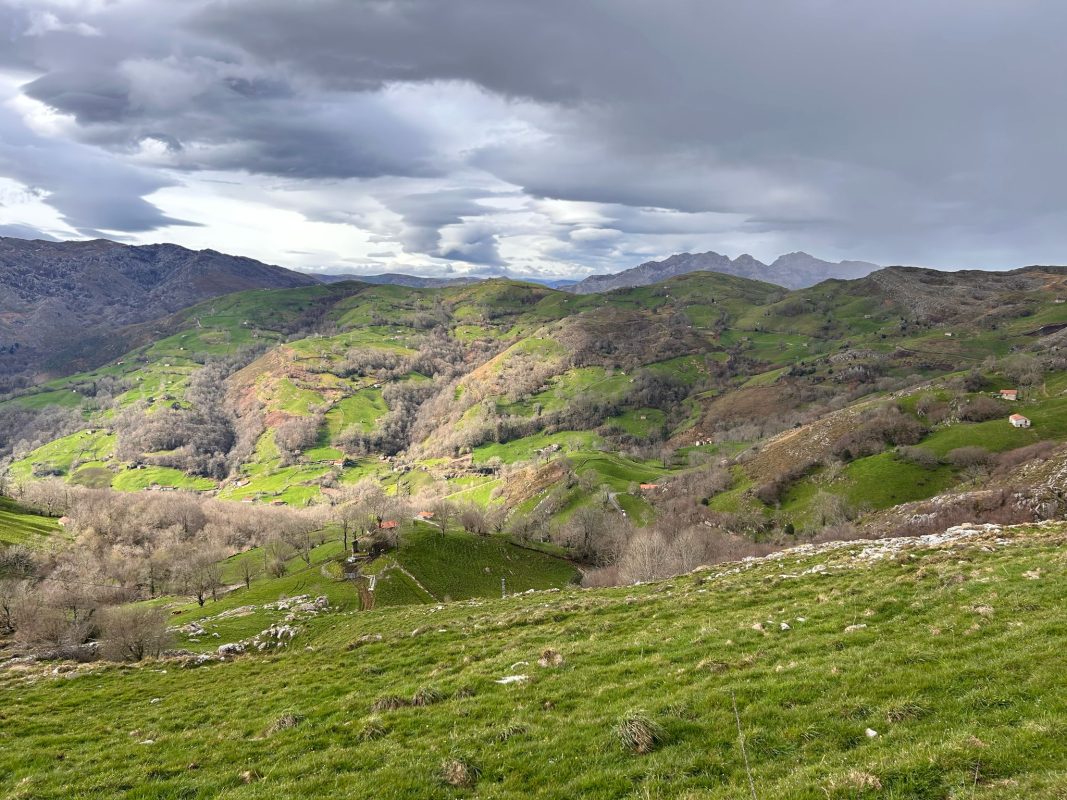 WhatsApp Image 2025-03-19 at 21.39.11 (2)