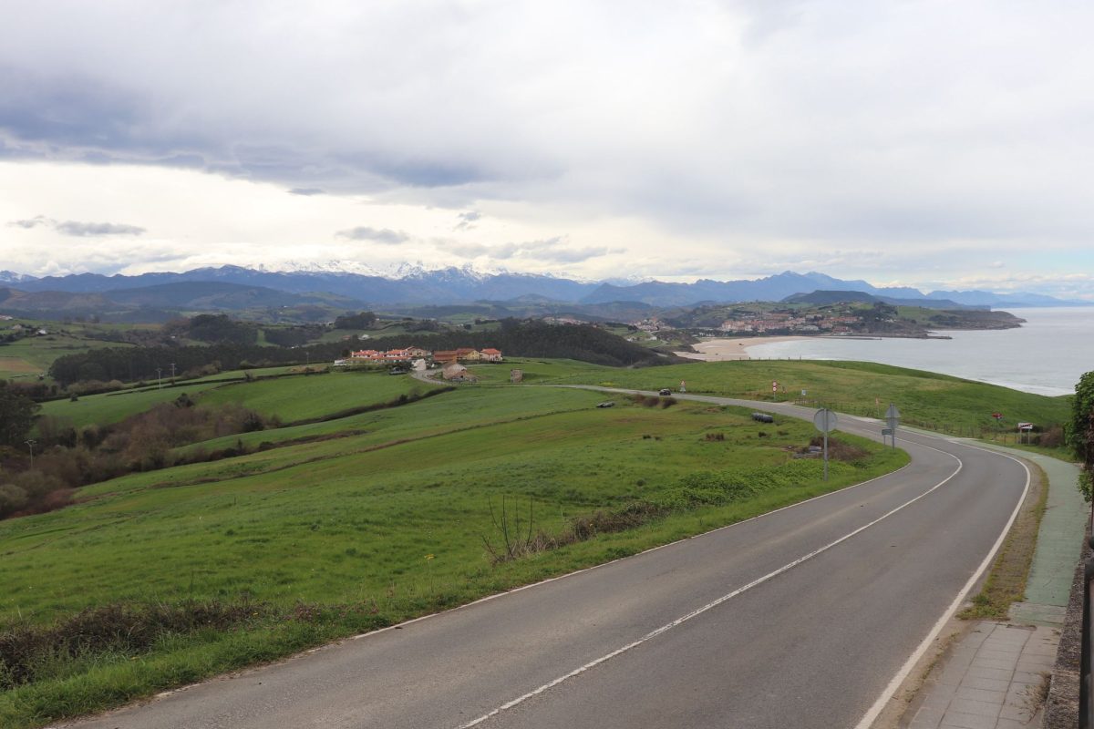 WhatsApp Image 2025-03-19 at 21.39.13 (1)