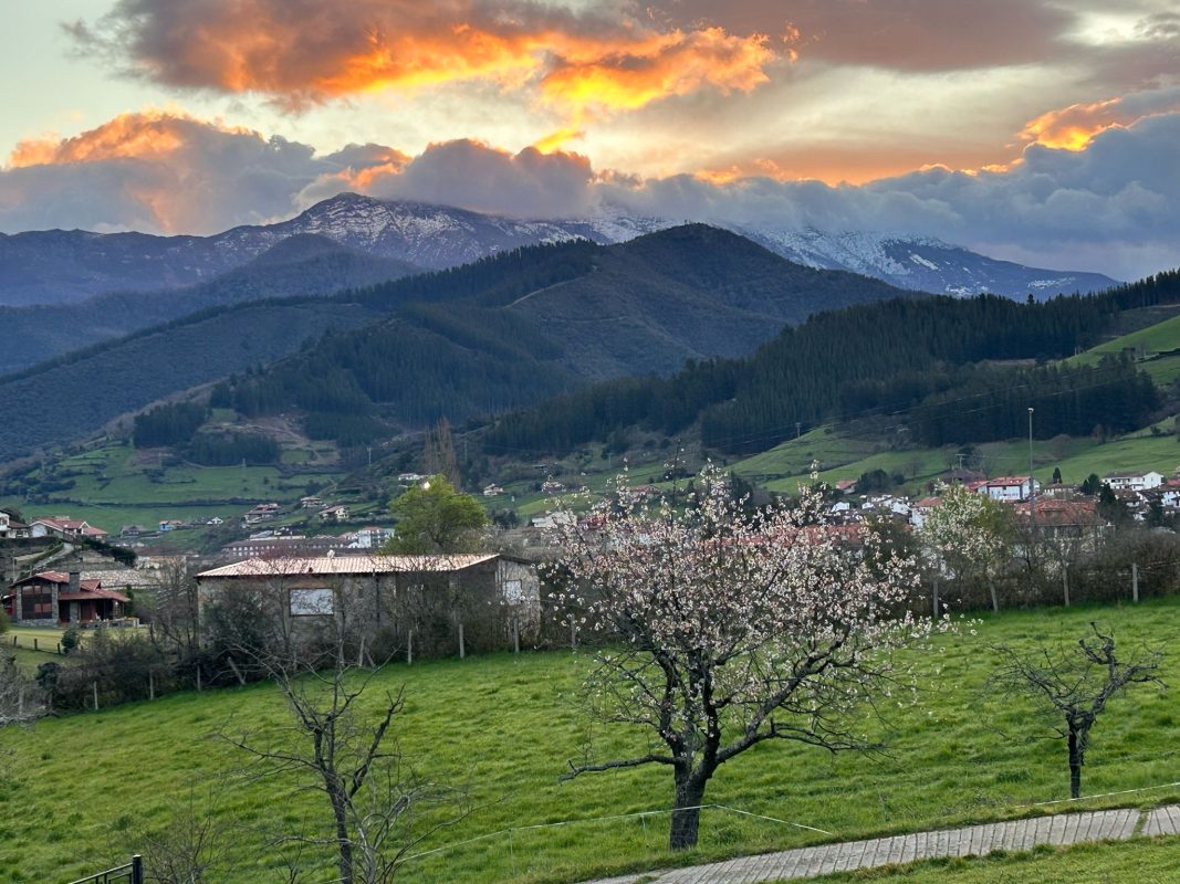 WhatsApp Image 2025-03-19 at 21.39.15