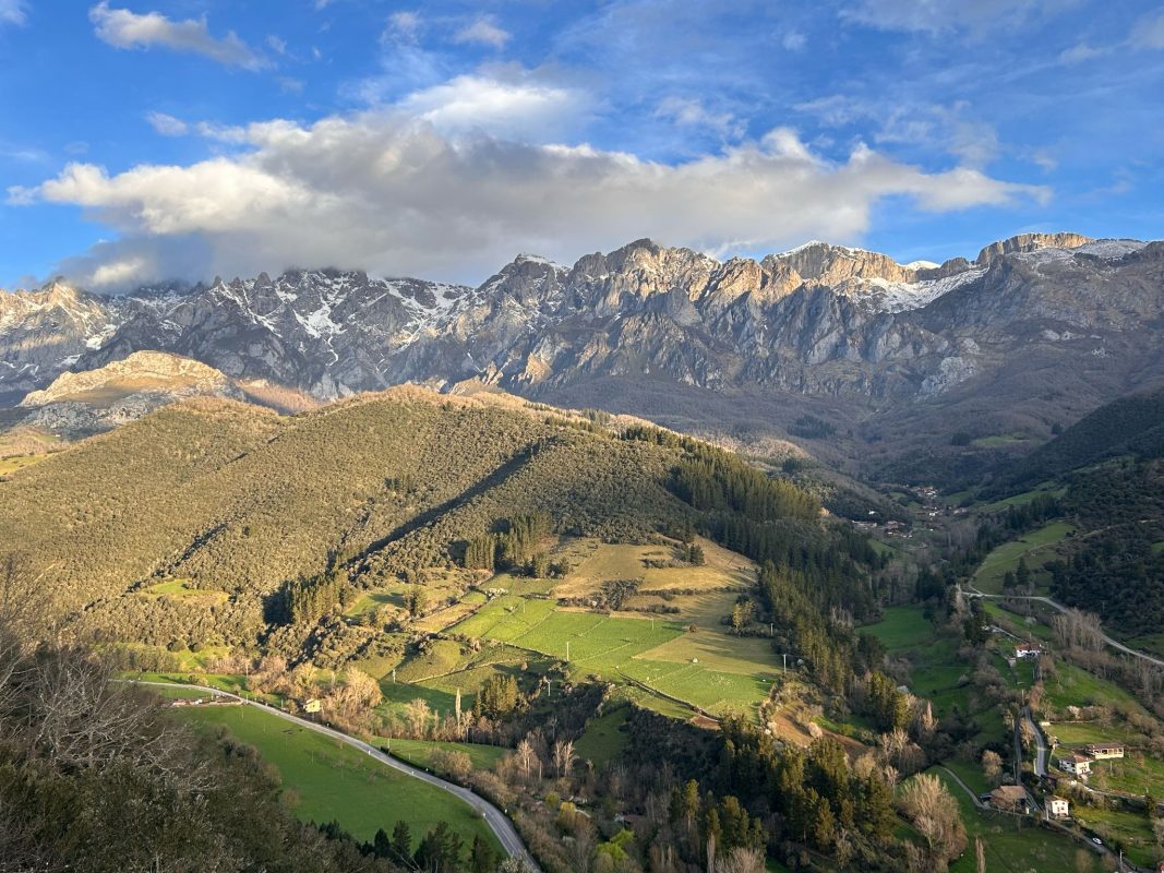 WhatsApp Image 2025-03-19 at 21.39.17