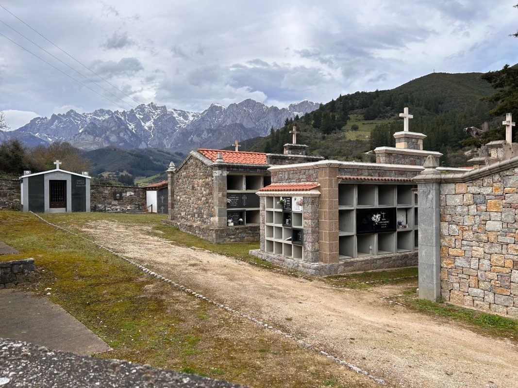 WhatsApp Image 2025-03-19 at 21.39.20