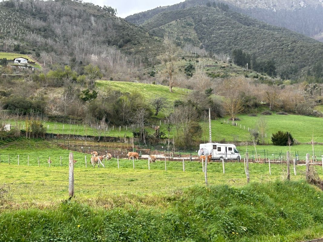 WhatsApp Image 2025-03-24 at 20.11.42