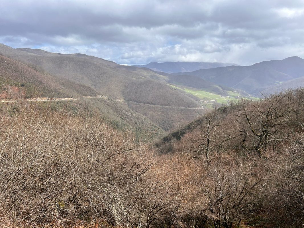 WhatsApp Image 2025-03-24 at 20.11.43 (1)