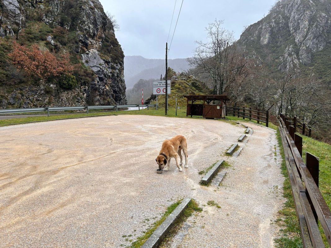 WhatsApp Image 2025-03-24 at 20.11.45