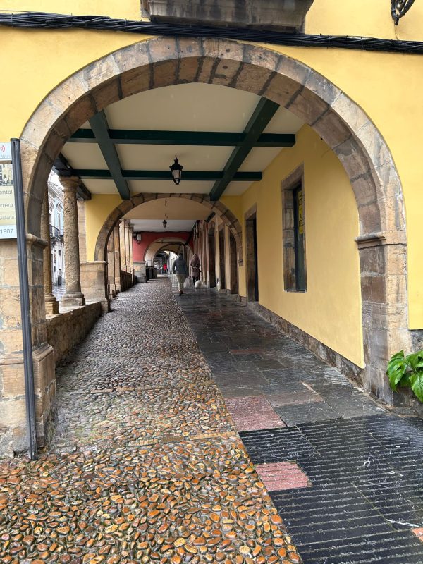 WhatsApp Image 2025-03-24 at 20.11.46