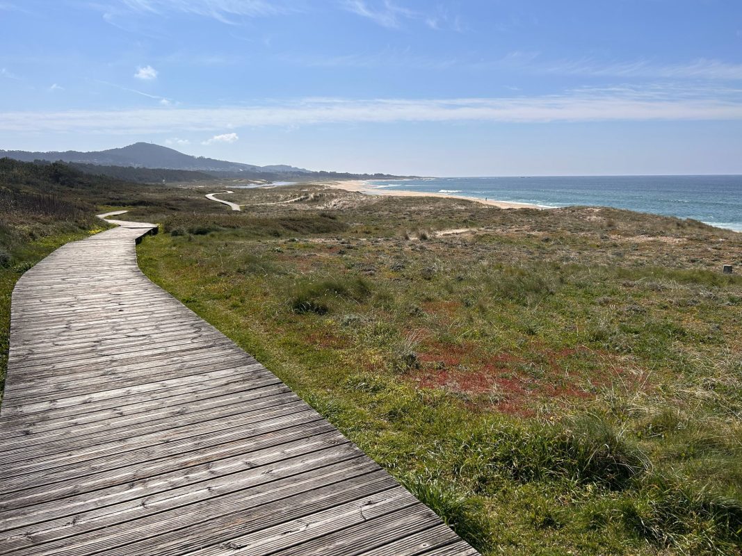 WhatsApp Image 2025-03-27 at 22.04.57