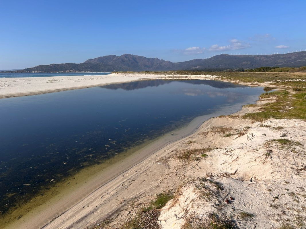 WhatsApp Image 2025-03-27 at 22.04.58 (1)