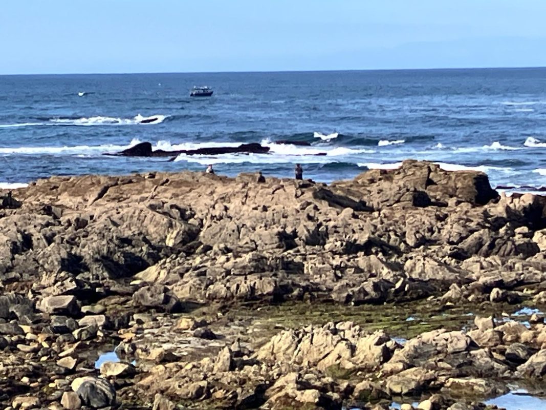 WhatsApp Image 2025-03-28 at 20.26.07