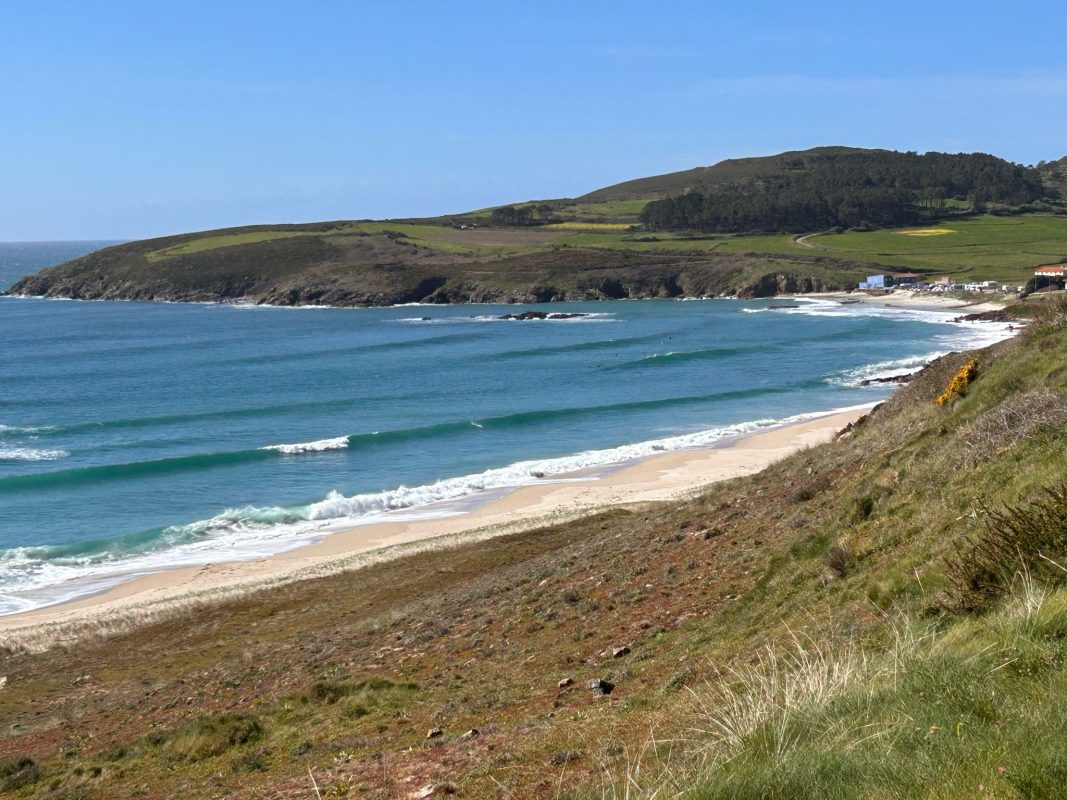 WhatsApp Image 2025-03-31 at 21.03.20