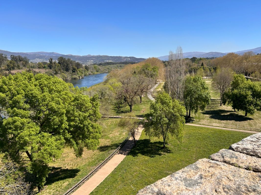 WhatsApp Image 2025-03-31 at 21.03.29