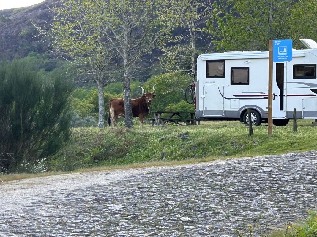 WhatsApp Image 2025-03-31 at 21.03.32 (1)