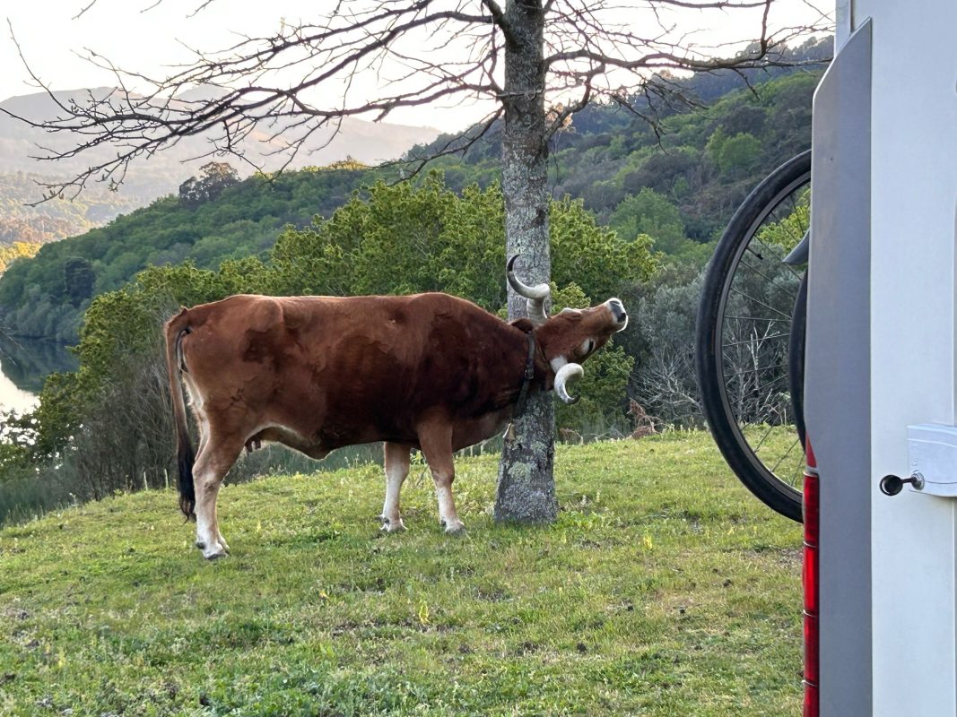 WhatsApp Image 2025-03-31 at 21.03.32 (2)