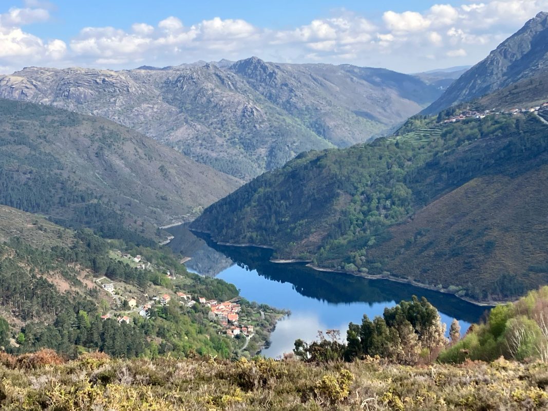 WhatsApp Image 2025-04-05 at 22.48.17 (1)