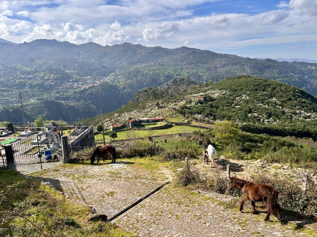 WhatsApp Image 2025-04-05 at 22.48.17