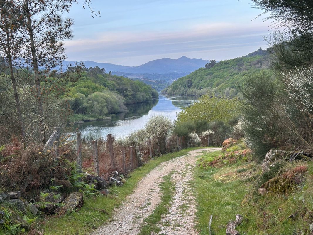 WhatsApp Image 2025-04-05 at 22.48.17