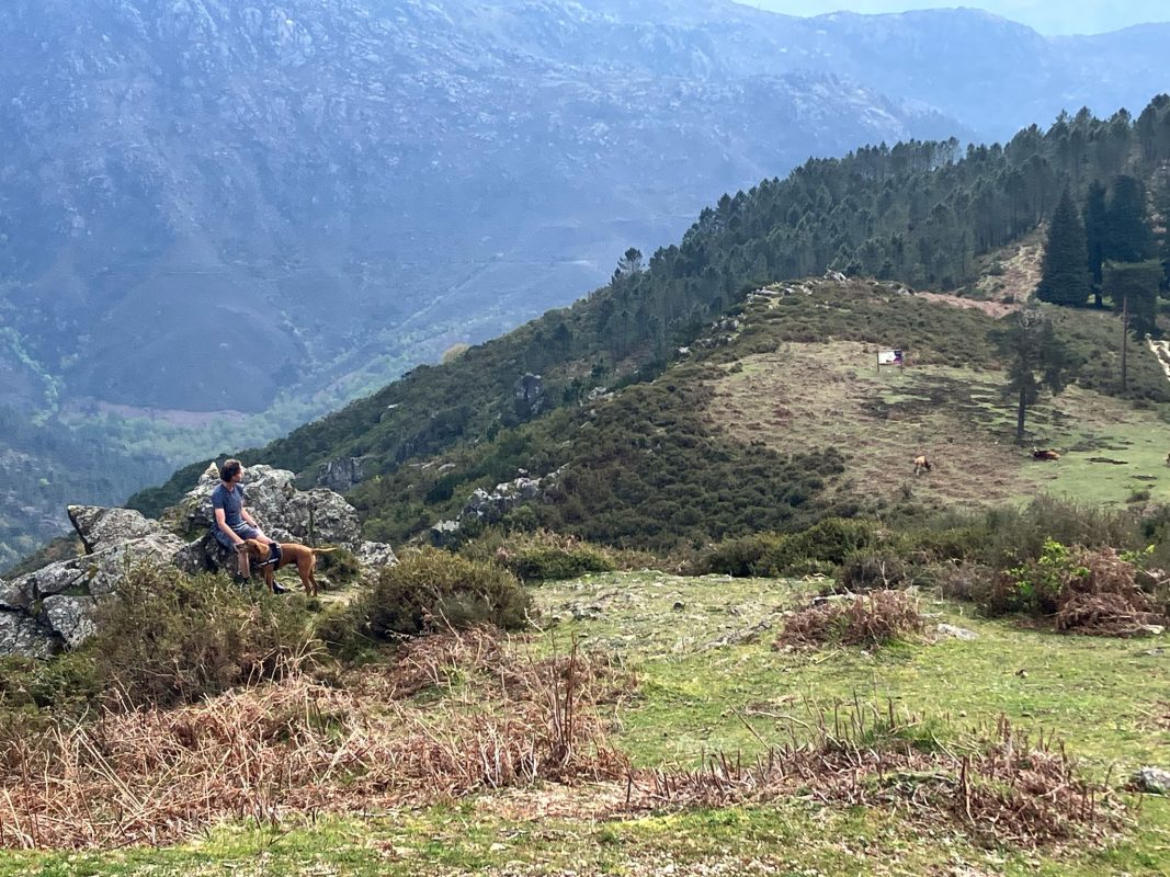 WhatsApp Image 2025-04-05 at 22.48.18