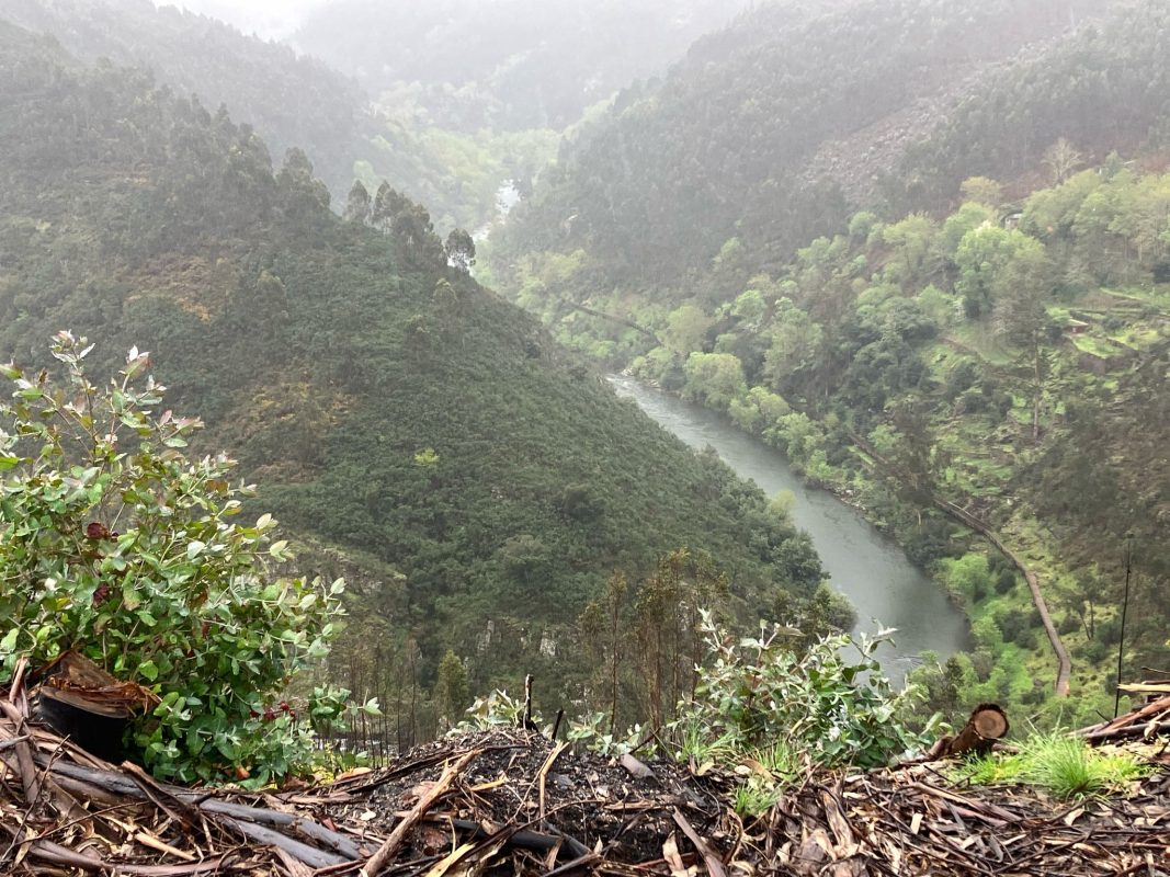 WhatsApp Image 2025-04-05 at 22.48.19 (1)