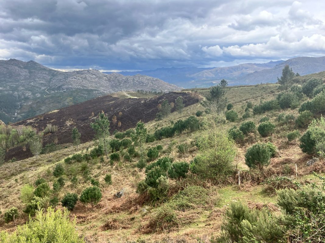 WhatsApp Image 2025-04-05 at 22.48.19