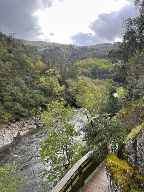 WhatsApp Image 2025-04-05 at 23.04.56