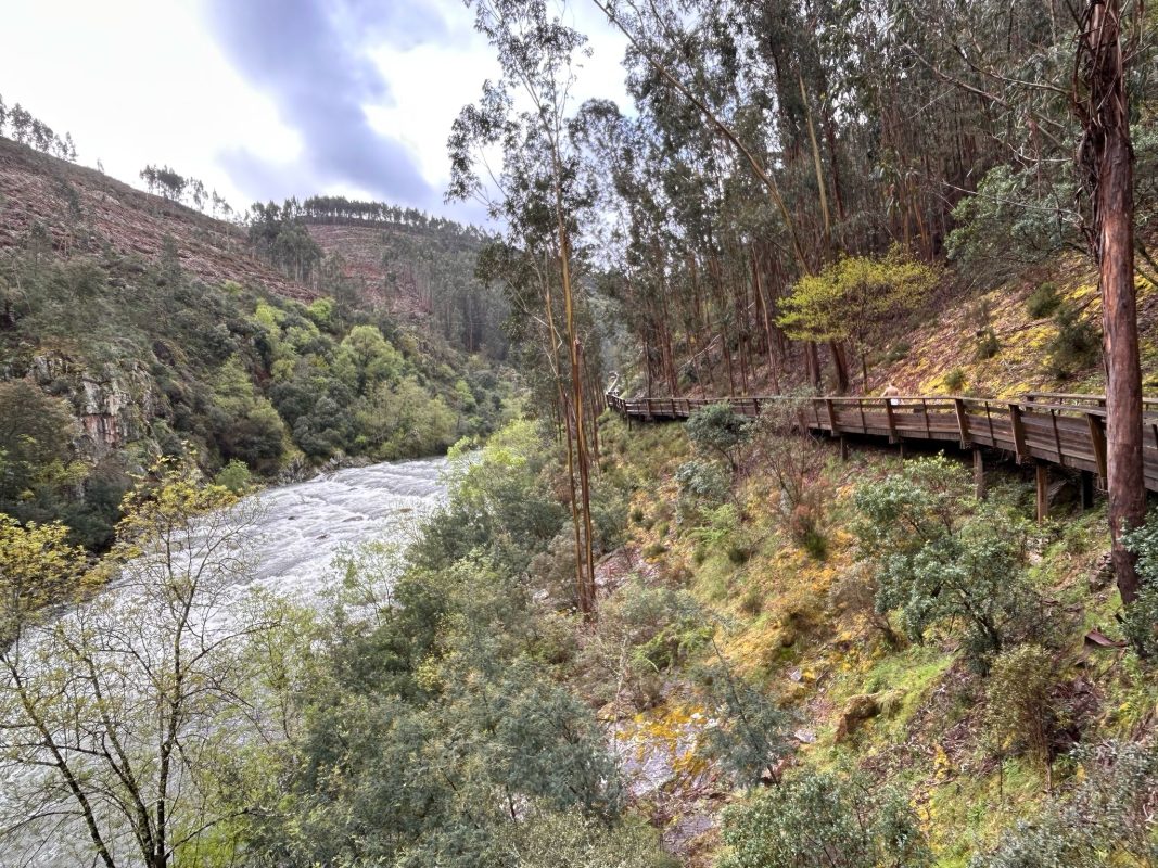 WhatsApp Image 2025-04-05 at 23.04.57