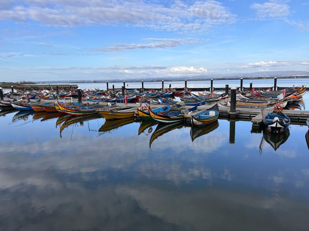 WhatsApp Image 2025-04-05 at 23.12.52