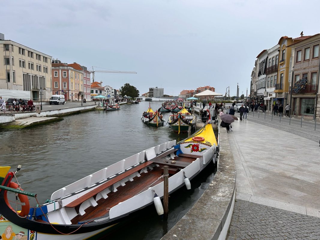 WhatsApp Image 2025-04-09 at 22.00.20