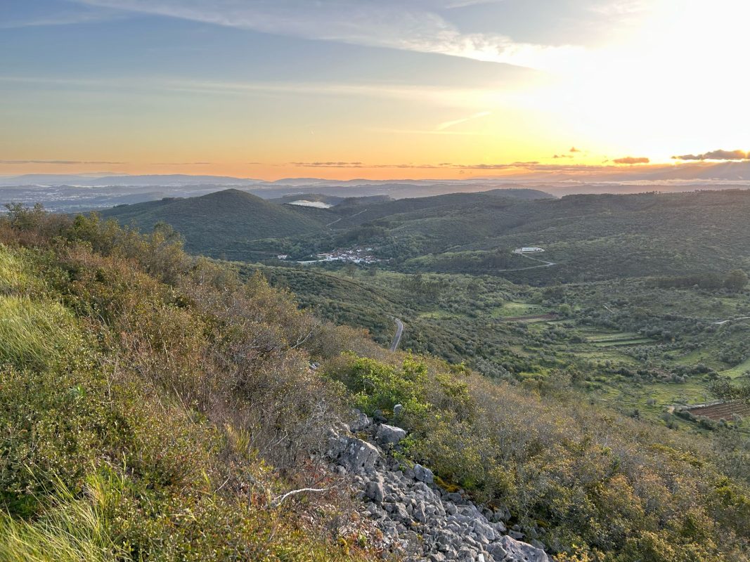 WhatsApp Image 2025-04-09 at 22.02.56