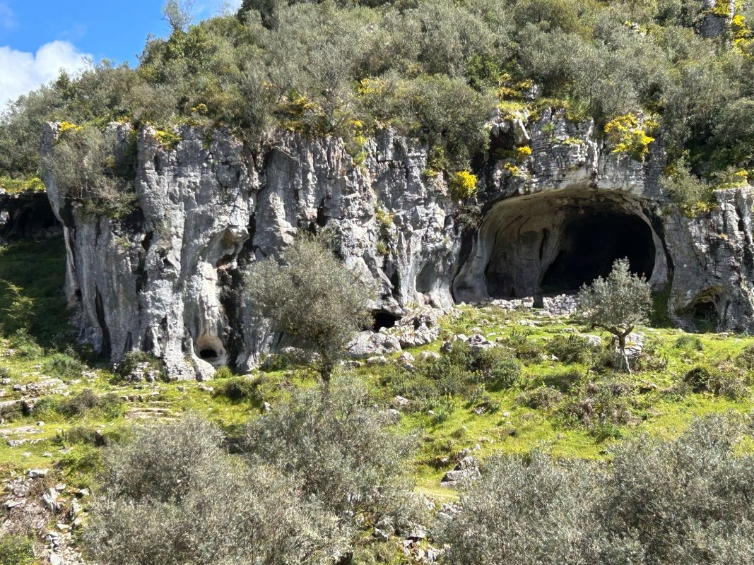 WhatsApp Image 2025-04-09 at 22.02.59