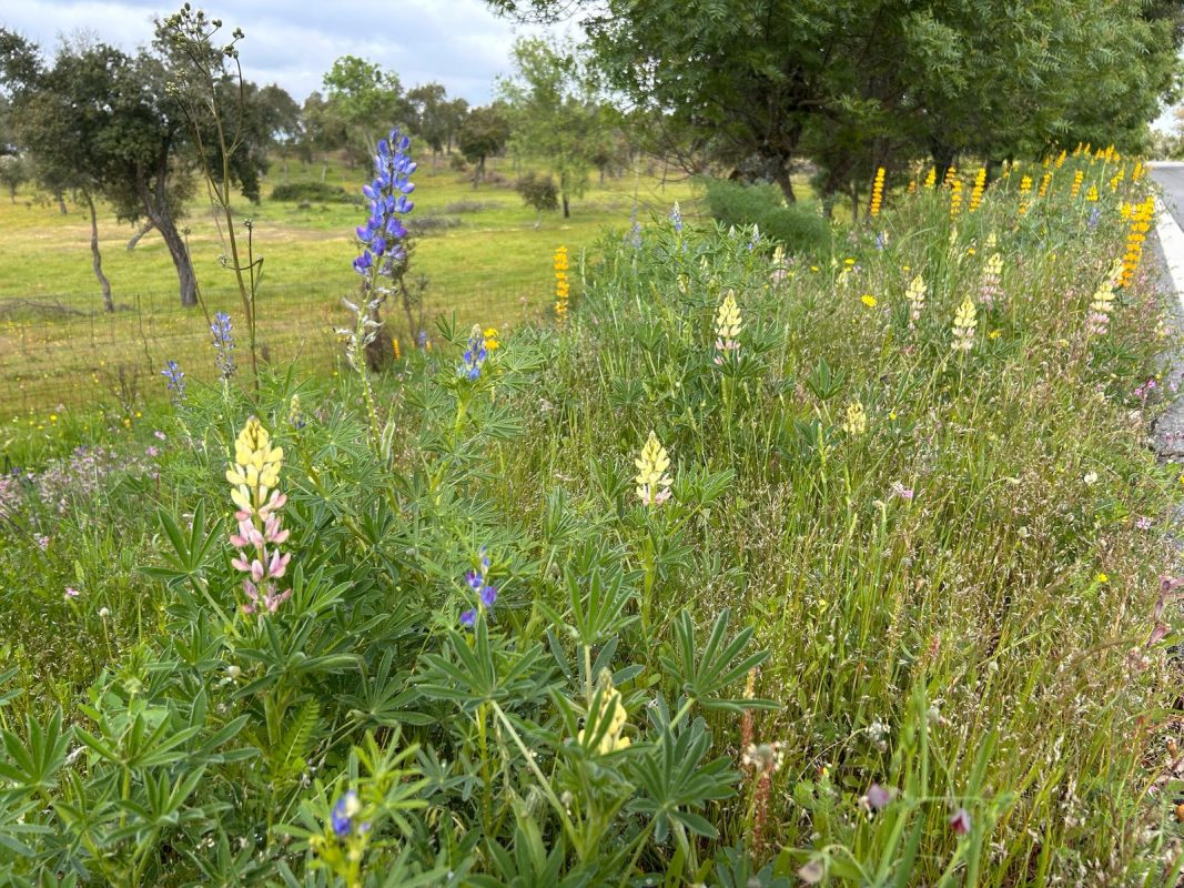 WhatsApp Image 2025-04-13 at 22.03.25 (1)